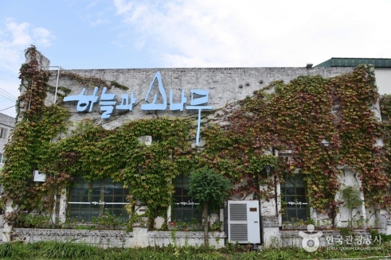 Haneulgwasonamu  (5/6)