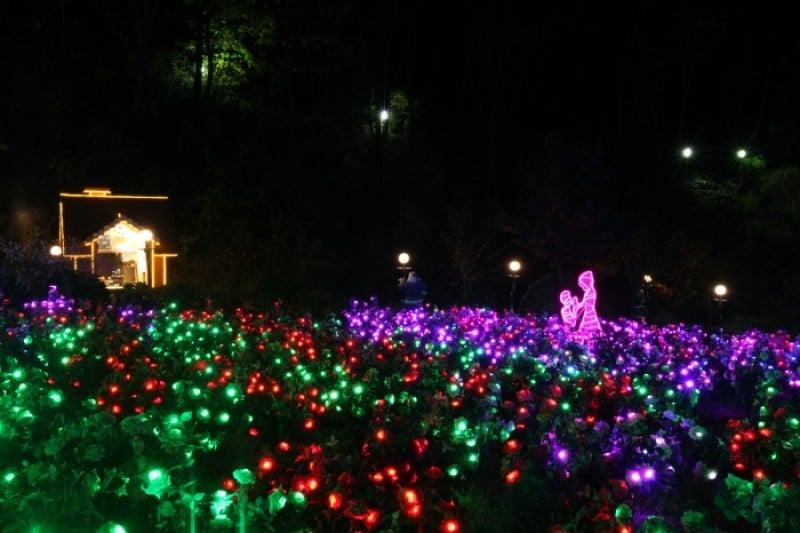 Herb Island Light Festival - Lighting &amp; Illumination (허브아일랜드 불빛동화축제 - 라이팅&amp;일루미네이션) (14/20)