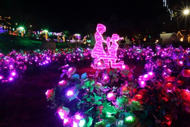 Herb Island Light Festival - Lighting &amp; Illumination (허브아일랜드 불빛동화축제 - 라이팅&amp;일루미네이션) (15/20)