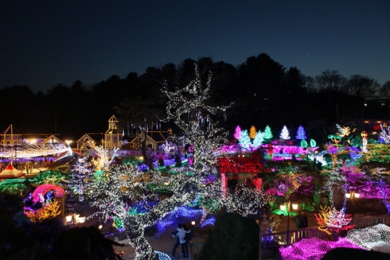 Herb Island Light Festival - Lighting &amp; Illumination (허브아일랜드 불빛동화축제 - 라이팅&amp;일루미네이션) (19/20)