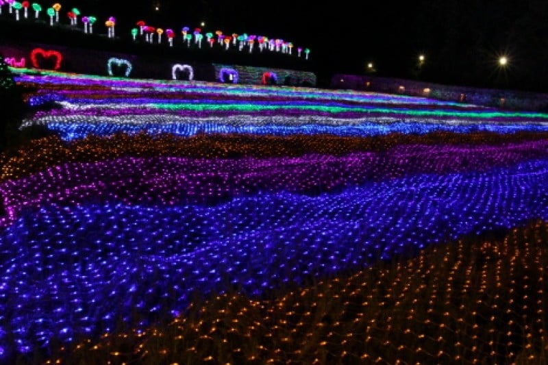 Herb Island Light Festival - Lighting &amp; Illumination (허브아일랜드 불빛동화축제 - 라이팅&amp;일루미네이션) (20/20)