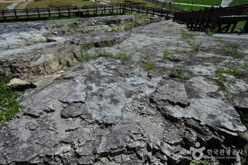 Dinosaur Tracksite of Hwasun, Seoyu-ri  (2/5)