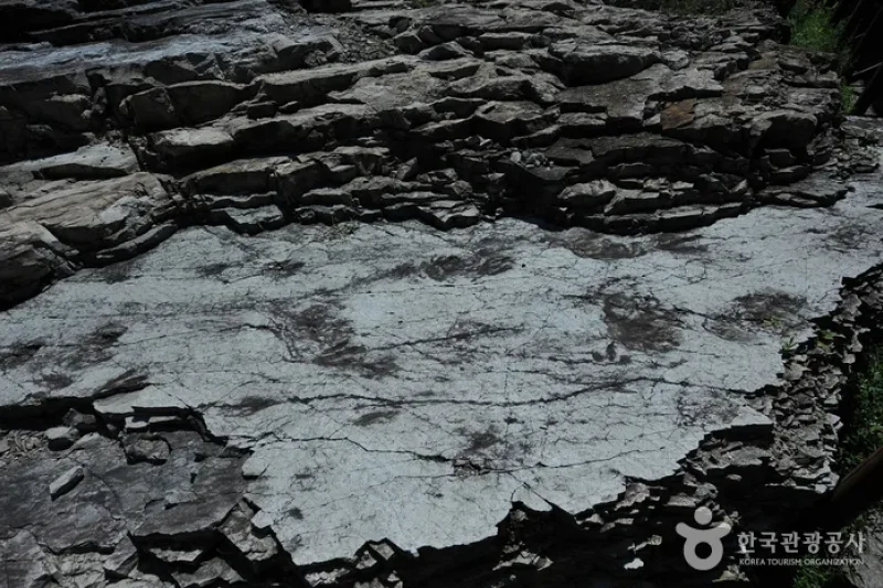 Dinosaur Tracksite of Hwasun, Seoyu-ri  (3/5)