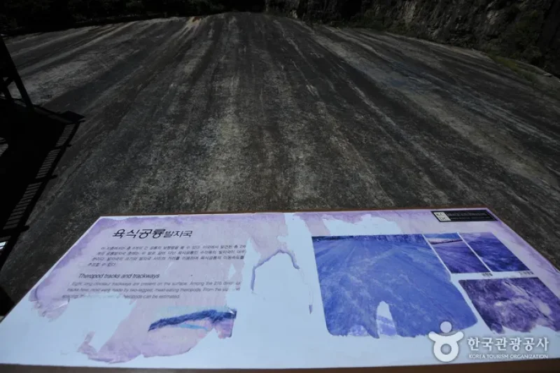 Dinosaur Tracksite of Hwasun, Seoyu-ri  (4/5)