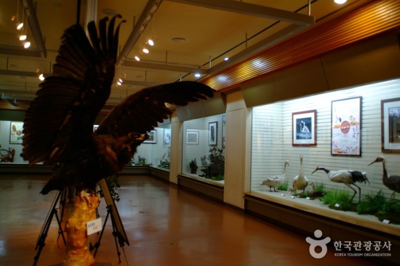 Gangwon-do Forestry Museum (강원도 산림박물관) (5/5)