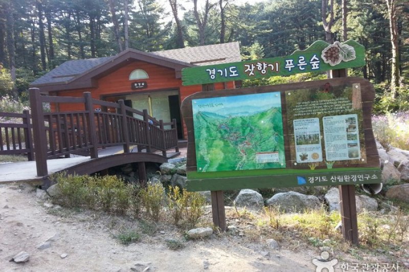 Jatyanggi Purunsup Resort  (2/6)
