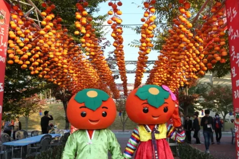 Cheongdo Seedless Persimmon Festival  (9/11)