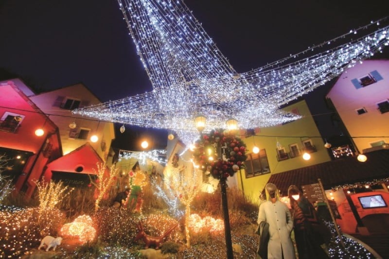 Little Prince Lighting Festival  (5/12)
