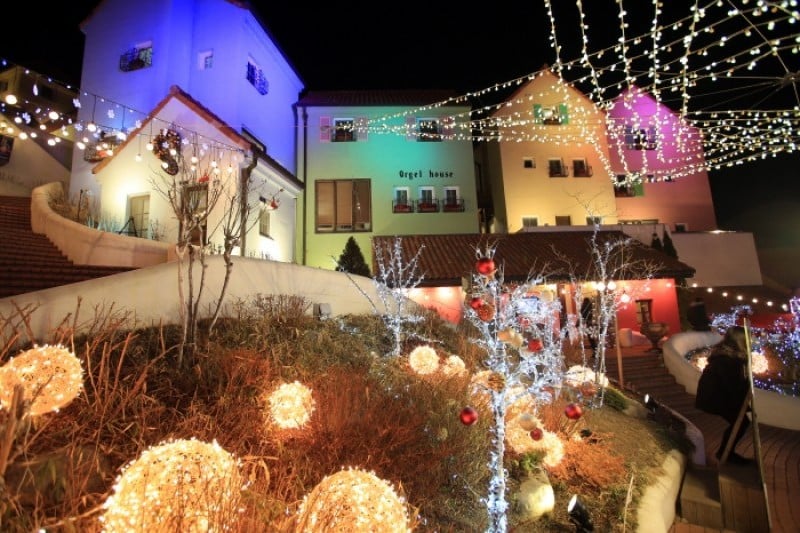 Little Prince Lighting Festival  (7/12)