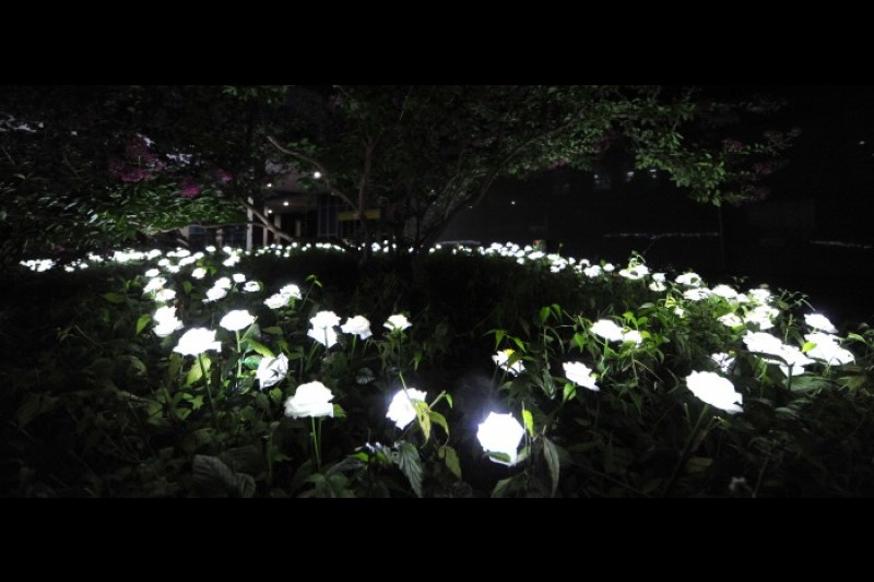 Night Walk in Jeonju  (8/10)
