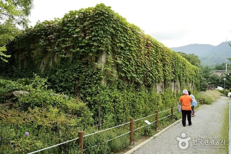 Seongnam Botanical Garden  (2/4)
