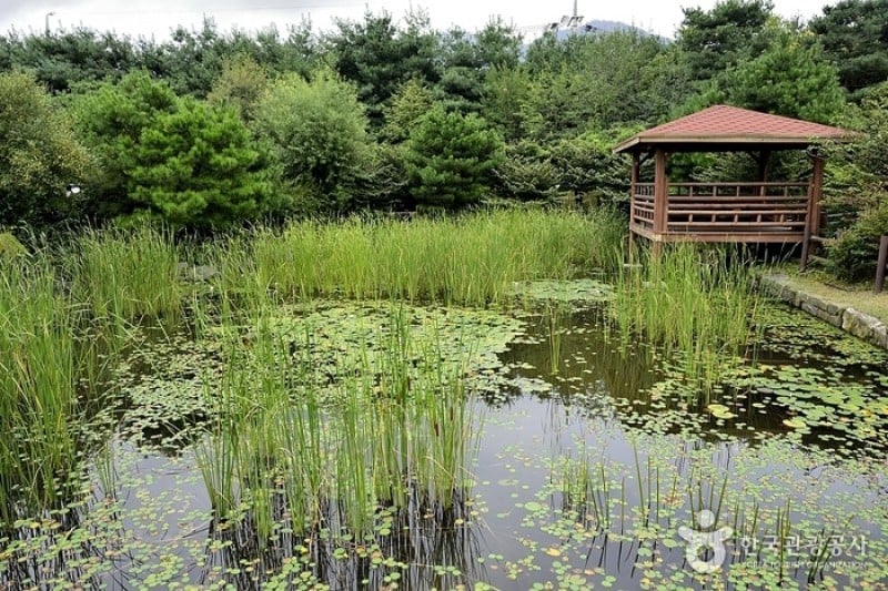 Seongnam Botanical Garden  (3/4)