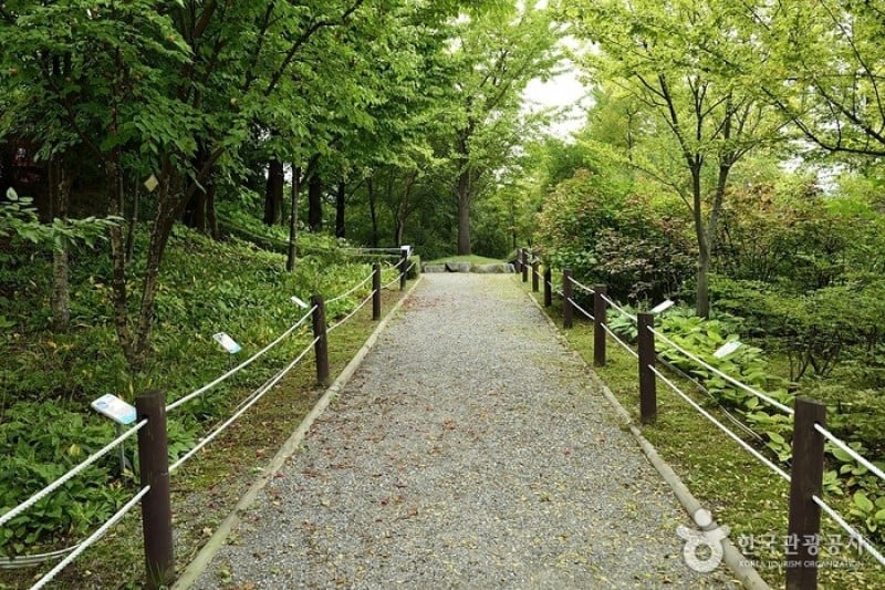 Seongnam Botanical Garden  (4/4)