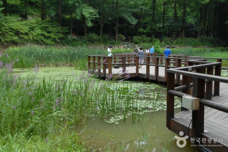 Jangtaesan Recreational Forest  (2/19)
