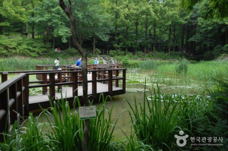 Jangtaesan Recreational Forest  (3/19)