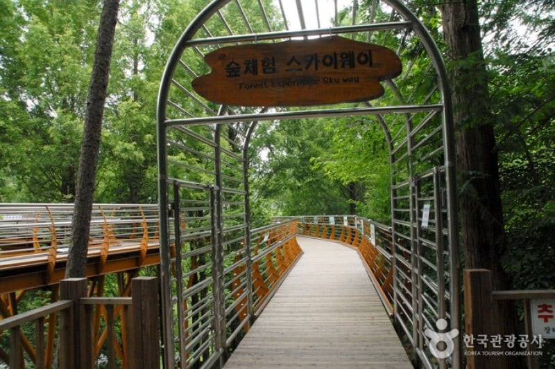 Jangtaesan Recreational Forest  (4/19)