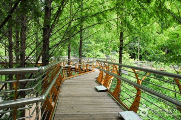 Jangtaesan Recreational Forest