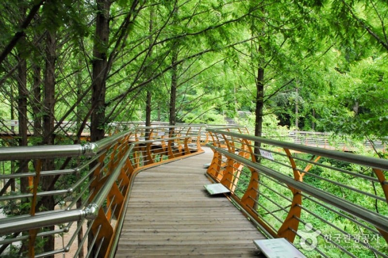 Jangtaesan Recreational Forest  (5/19)