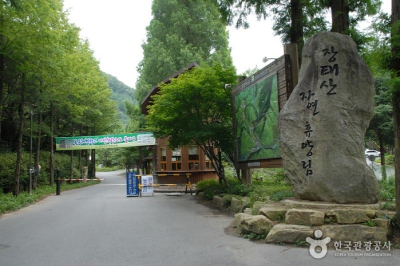 Jangtaesan Recreational Forest  (7/19)