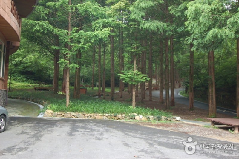 Jangtaesan Recreational Forest  (9/19)