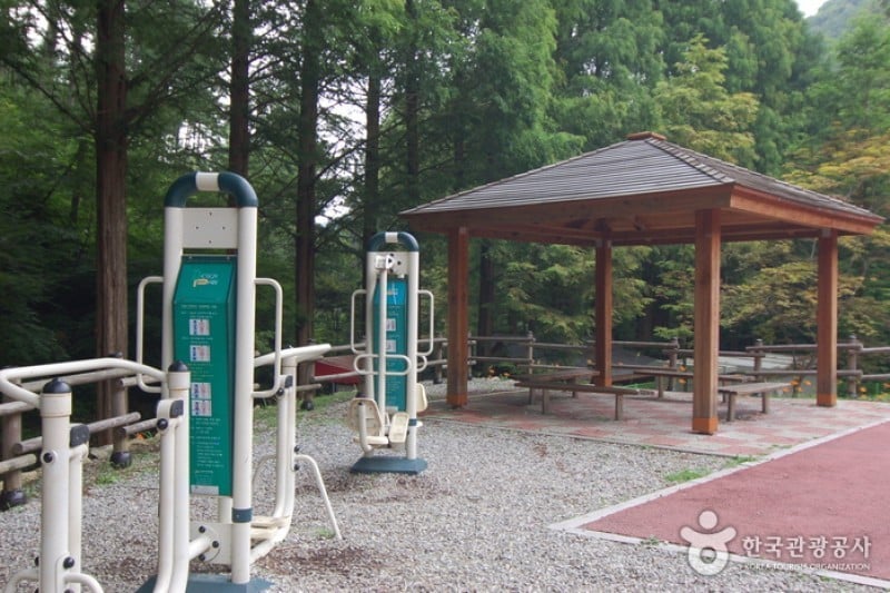 Jangtaesan Recreational Forest  (10/19)