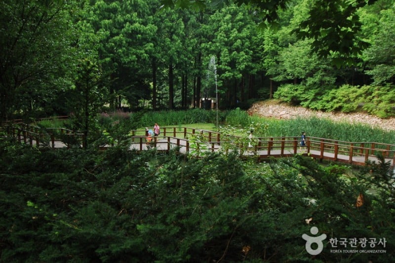 Jangtaesan Recreational Forest  (11/19)