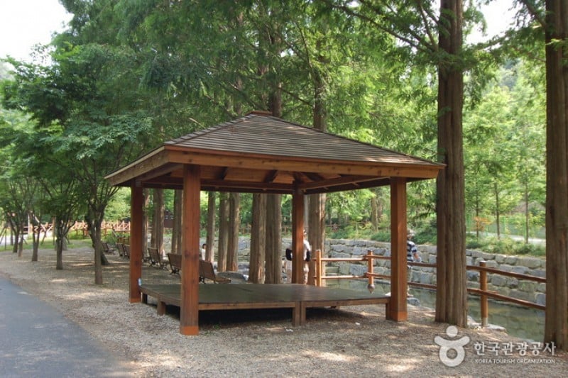 Jangtaesan Recreational Forest  (12/19)