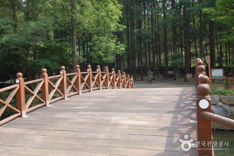 Jangtaesan Recreational Forest  (13/19)