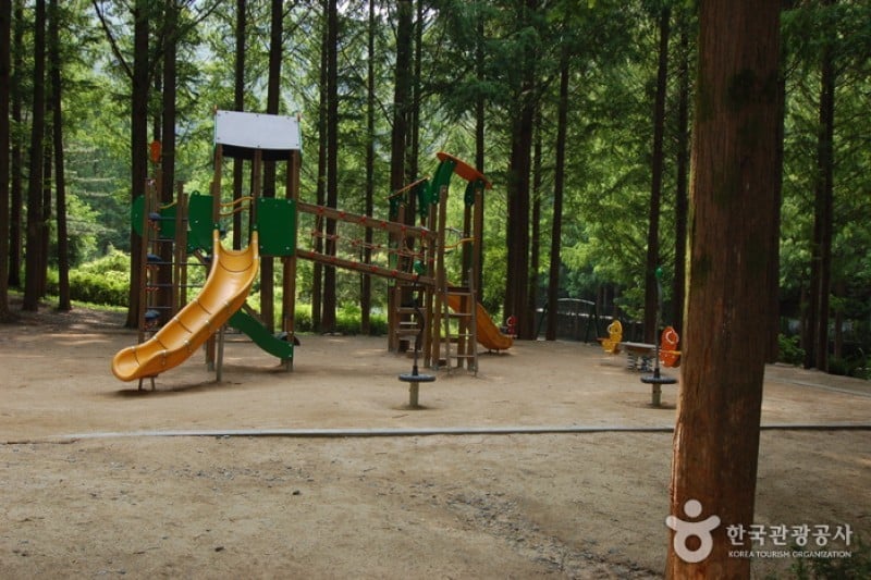 Jangtaesan Recreational Forest  (16/19)