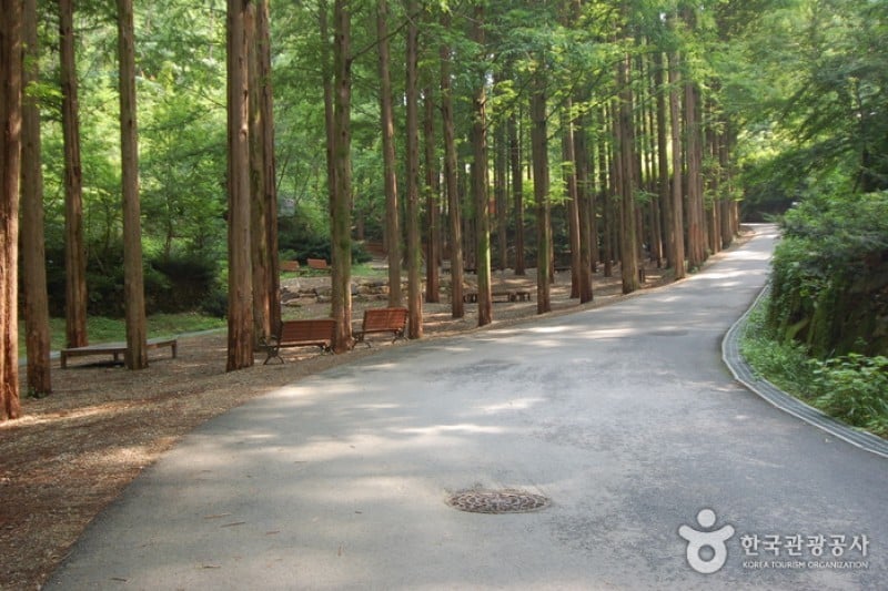 Jangtaesan Recreational Forest  (17/19)
