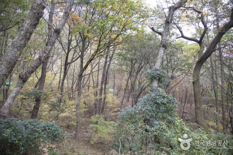 Geumjeongsan Mountain  (5/6)