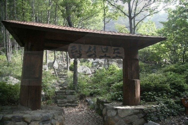 Biseulsan Recreational Forest  (8/10)