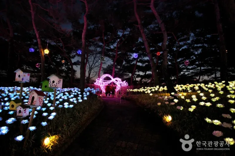 E-World Starlight Festival  (14/58)