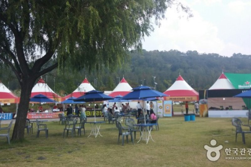 Let's Rock Festival  (5/8)