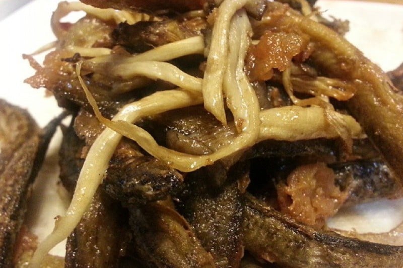 Yonggeumok  (8/9)