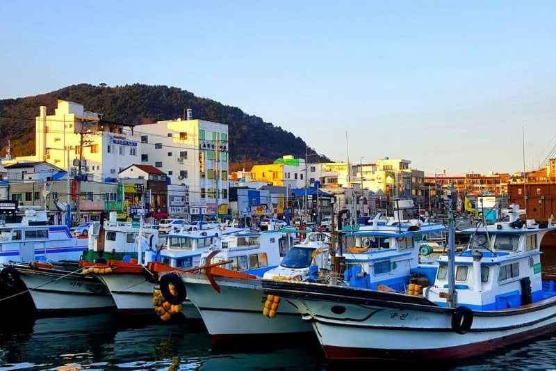 Tongyeong Jungang Market  (16/23)