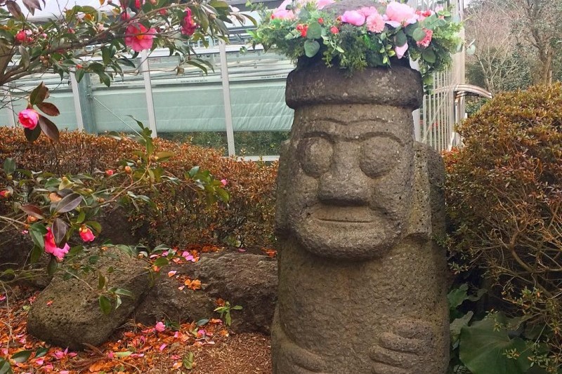 Seocheon Maryang-ri Camellia Forest  (15/17)