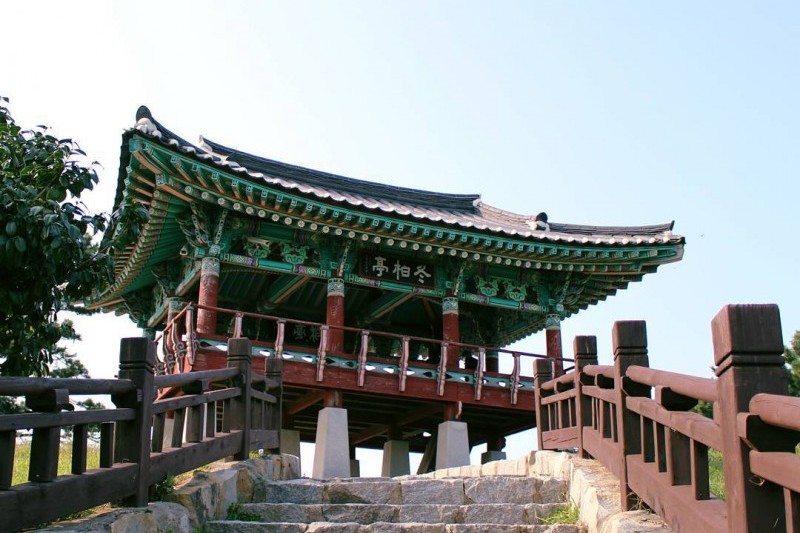 Seocheon Maryang-ri Camellia Forest  (17/17)