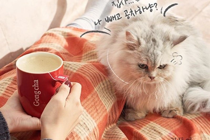 Gong Cha Myeong dong Branch (1/10)