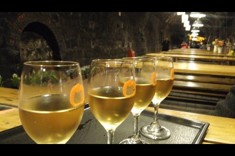 Cheongdo Wine Tunnel  (15/24)