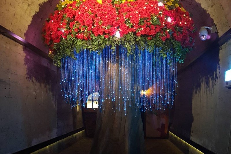 Cheongdo Wine Tunnel  (17/24)