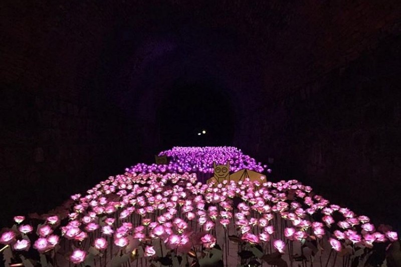 Cheongdo Wine Tunnel  (20/24)