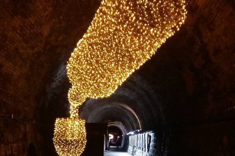 Cheongdo Wine Tunnel  (21/24)