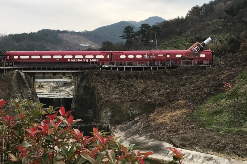 Cheongdo Wine Tunnel  (22/24)