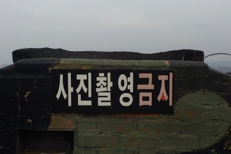 Typhoon Observatory  (7/9)