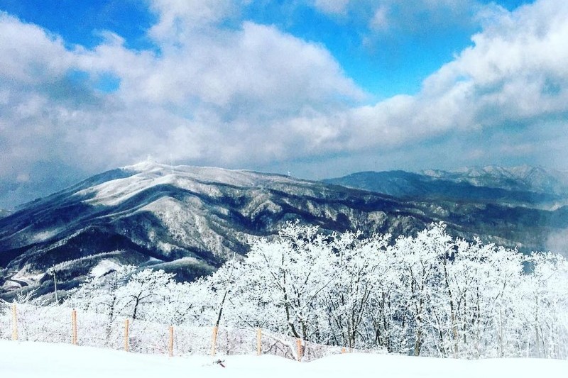 Phoenix Park Ski Resort  (16/21)