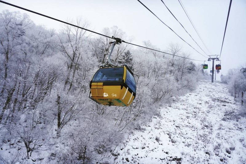 Yongpyong Ski Resort  (40/45)