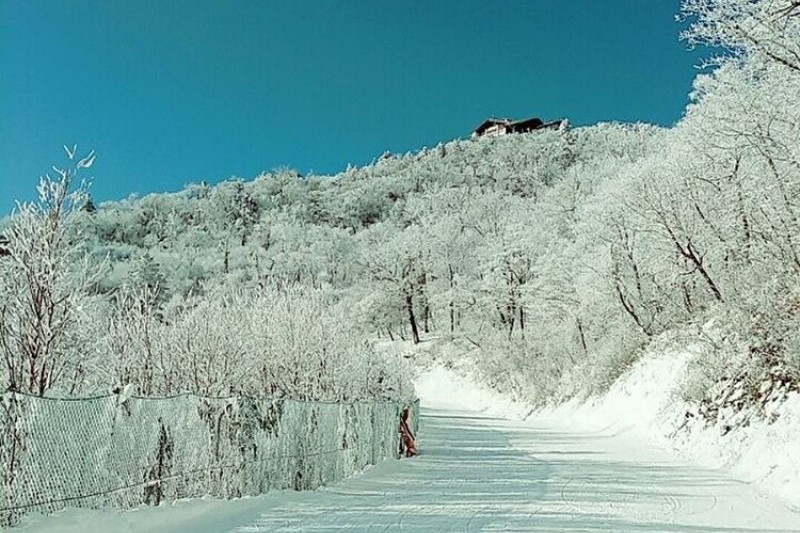 Yongpyong Ski Resort  (43/45)