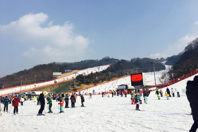 Daemyung Vivaldi Park Ski World  (15/20)