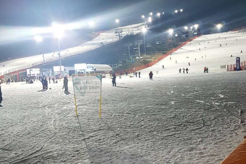 Daemyung Vivaldi Park Ski World  (16/20)